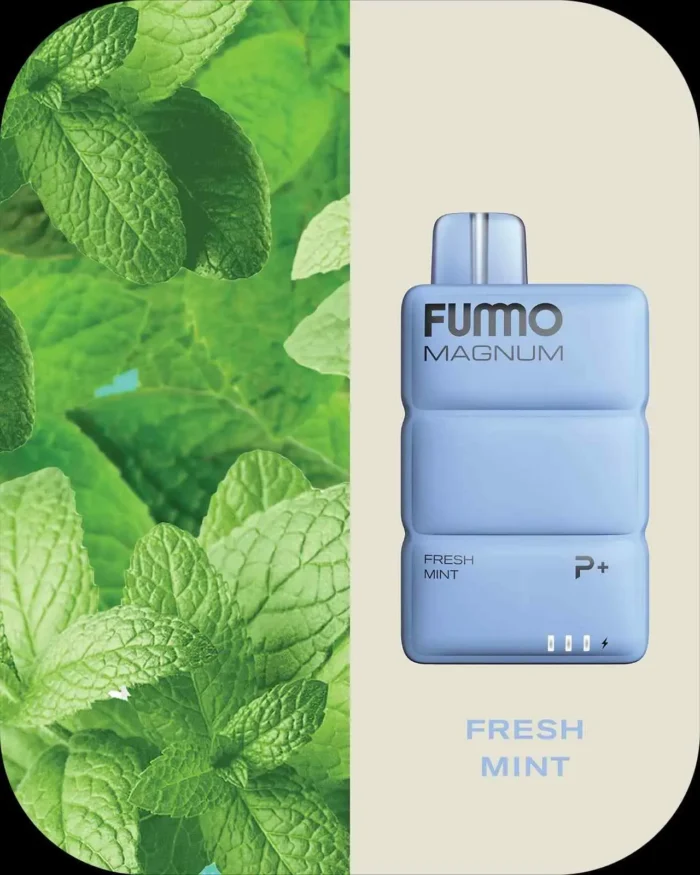 FUMMO Magnum 8000 Puffs IN UAE; fresh mint; VAPE AREA UAE;